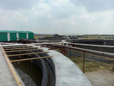 site-6