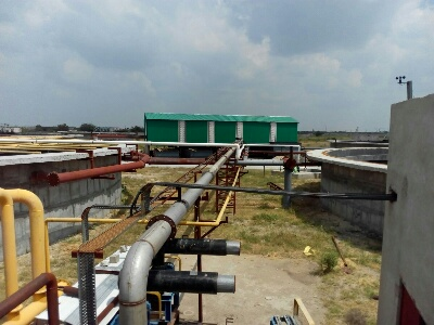 site-8